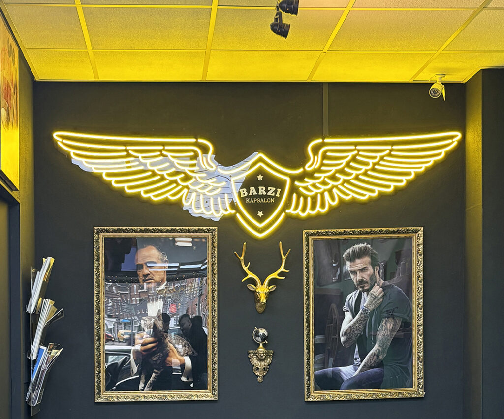gevel reclame, freesletters, doosletters, neon letters, neon, logo, licht
